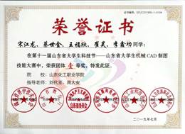 说明: 第十一届山东省老员工科技节CAD技能大赛团体一等奖